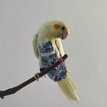1-2pcs Pet Bird Parrot Mesh Harness, Bird Diaper + Leash (Random Print) - Multicolor - View 3