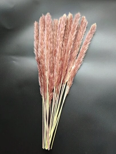 1 Bundle Mini Reeds For Vase Flower Arrangement, Home Decor, Photography Props, Wedding Decoration