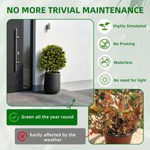 Hodeffior Juego de 2 bolas topiarias artificiales de boj de 65 cm con hojas de sauce. Plantas artificiales resistentes a los rayos UV con estaca para el suelo. Decoración para jardín, patio y puerta de entrada (interior y exterior). - Verde - Ver 6