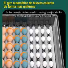 Máquina Incubadora Automática 120 Huevos Doble Energía | Uso Doméstico Granja | Incubadora Eficaz | Estable Funcional - Multicolor - Ver 5