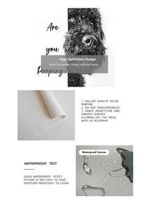 1pc Frameless 'Are You Pooping?' Humorous Portuguese Water Dog Canvas Print - Funny Pet Lover Gift, Rustic Home Decor For Bathroom, Living Room, Bedroom, Dorm, Home Office Classroom, Unique Artist Style Wall Art & Best Gift Choice - Puppy - View 9