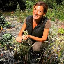 Lost Herbs, Standard Edition - A - 查看 8