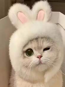 1件兔耳猫咪帽子，可爱主题宠物服装，针织面料，适合猫狗，舒适材质，可机洗，涤纶宠物头饰，适合猫狗角色扮演和摄影，适合玩具、小型犬、猫咪宠物摄影 - 彩色 - 查看 2