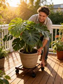 2 pièces Chariot de plantes, support de plante en bois, étagère de plante robuste sur roulettes, chariot de plante rond, avec roulettes métalliques verrouillables, roulettes pivotantes à 360°, convient pour les grandes plantes en pot/pots de fleurs/patio d'intérieur/extérieur - Multicolore - Voir 13