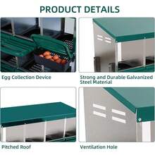 Caja de Nidificación para Gallinas de Metal 3 Compartimentos, Sistema Roll Out de Recolección de Huevos para Gallinero Doméstico - Verde - Ver 5