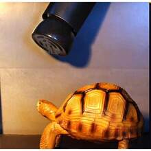 TendenciaFoco Infrarrojo De Cerámica Incubadora Termostato ReptilesCalidad premium - 100 W - Ver 4