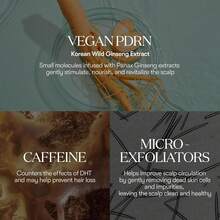 ¡RecomendadoVT PDRN REEDLE SHOT HAIR AMPOULE 100dL - Tratamiento Capilar Nutritivo y Estimulante con PDRN Vegano, 9GF y Cafeína¡Top de Temporada - 1 - Ver 4