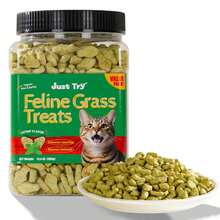 JUST TRY 13.4 OZ Cat Grass Treats Natural Salmon Flavor Healthy Cat Snacks Training Biscuits Catnip For Cats Dental And Hairball Control Treats Remedy Chews - 解決毛球症的方法 - 查看 7