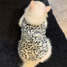 1件猫咪衣服，仿兔毛，单面抓绒，适合猫咪秋冬季节穿着，保暖、防寒、防冻、防掉毛，宠物无袖背心 - 白色 - 查看 8