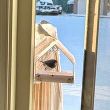 这款窗户式喂鸟器配有强力吸盘和排水孔，可安装在窗户上，适用于野生鸟类。开放式托盘方便盛放鸟食，双栖木设计，安装简便，易于添加鸟食和清洁。 - 均碼 - 查看 6