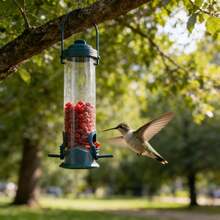 Máng cho chim ăn ngoài trời chống chịu thời tiết - Lưới sắt rèn màu xanh lá cây với khay đựng hạt, dành cho các loài chim hoang dã nhỏ, vật trang trí sân vườn hoàn hảo cho người yêu chim, thu hút các loài chim đầy màu sắc đến sân sau. - hiện đại - Xem 2