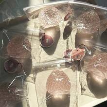 1个逼真可剥香蕉挤压玩具，仿真玉米软萌玩具，创意恶搞玩具，抗焦虑减压玩具，派对、返校、节日、生日礼物、青少年及成人适用、复活节礼物、送给亲朋好友的礼物、礼篮填充物（香蕉香味） - 彩色 - 查看 13