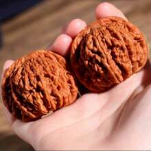 1 Pair Natural Walnut Texture Hand Massage Balls, Helpful For Muscle Relaxation And Blood Circulation. An Excellent Personal Collection Item With Aesthetic Appearance. - Multicolor - View 4