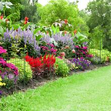 Pond Fence, Garden Fence, Interlocking Metal Fence, Complete Set, Outdoor Enclosure, Round Enclosure, Rabbit Enclosure, Pond Fence, Including Fence Elements And Fixing Rods (Top Arch/Bottom Arch) - Arche Inférieure, 10 PCS - View 5