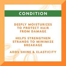 Cantu Leave-In Conditioning Repair Cream With Argan Oil, 16 Oz &Amp; Coconut Curling Cream With Shea Butter For Natural Hair, 12 Oz - Trắng - Xem 4