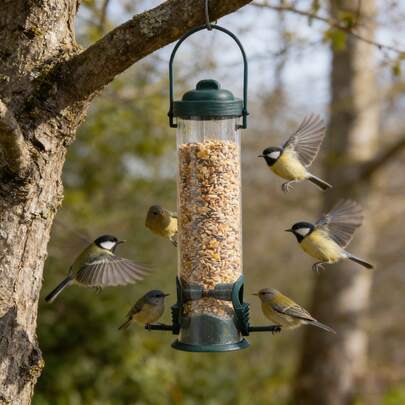 Comedero para pájaros resistente a la intemperie - Malla de hierro forjado verde con dispensador de semillas, adecuado para pequeños pájaros silvestres - Decoración perfecta para el jardín para amantes de las aves - Atrae pájaros de colores a tu patio trasero, comedero para pájaros de exterior
