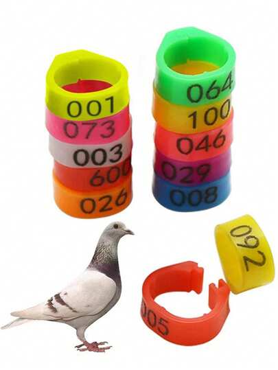 100pcs Multi-Color Pigeon Leg Bands, 8mm Inner Diameter, Plastic Buckle Type Leg Rings, Numbered 001-100, Poultry Open Leg Bands, Bird Racing Marking Leg Rings, Parrot Training Supplies