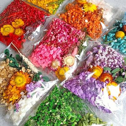 Assorted Dried Flower DIY Kit - Random Style Craft Materials For Frames, Wall Art, Wedding & Holiday Projects, Team Building & Home Decor Crafts