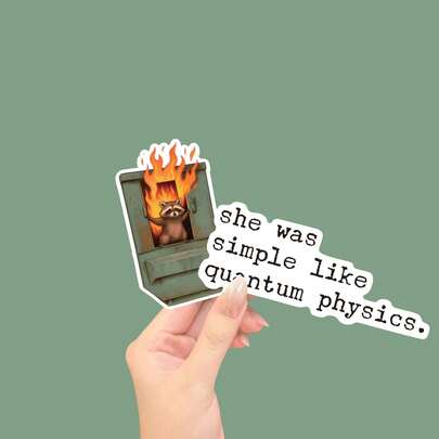 She Was Simple Like Quantum Physics Sticker.Dumpster Fire Sticker: Meme, Funny Racoon, This Is Fine, Mental Health Humor, Planner, Notebook, Trash Panda, Work Related