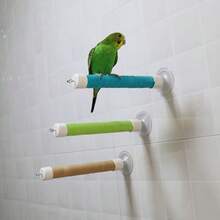 1 Set Easy Clean Parrot Suction Cup Stand, Made Of PVC Pipe Wrapped With Elastic Band, Bird Training Perch Toy, Suitable For Parrot Bathing In Bathroom, Can Stick To Window Glass And Mirror - Multicolor - View 7