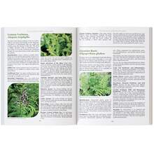 Lost Herbs, Standard Edition - A - 查看 6