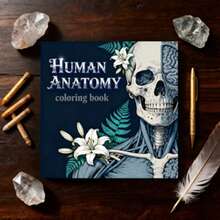1 Pc 7.87 X 7.87 Inch Adult Coloring Book - Human Anatomy Theme, Help You Relax, Great Gift For Adult Holidays And Birthdays - Human Body Coloring Book - View 4
