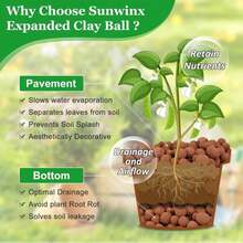 Sunwinx 2 LBS Natural Leca Clay Pebbles For Plants- 4-16mm Expanded Clay Leca Balls For Indoor Plants, Hydroton Clay Pebbles For Plants Hydroponic &Amp; Aquaponics Growing, Orchids, Drainage, Terrarium - ColorA - 查看 4