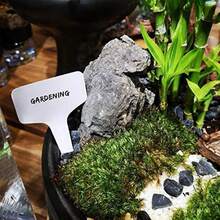 White Plastic Waterproof Plant Labels: Ideal For Nursery Stakes And Pot Markers! - A - View 11