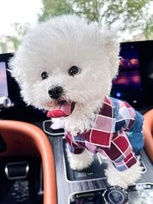 PETCIRCLE 1件宠物服装，欧美风格，适合小型犬和幼犬，可爱舒适的胸背带裤 - 彩色 - 查看 4