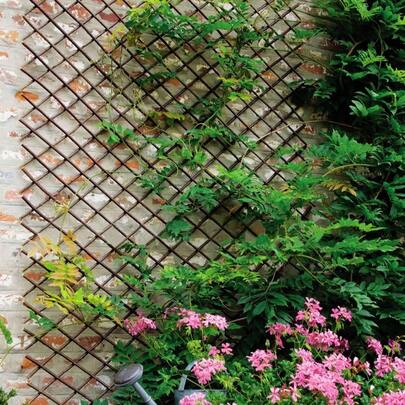 Garden Trellis Plant Support Willow Lattice Fence Panel For Climbing Plants Vine Ivy Rose Cucumbers Clematis
