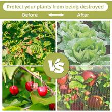 Heavy-Duty Garden Trellis Netting For Climbing Plants Outdoor And Indoor Use Grow Net Suitable For Beans Tomatoes Peas Pumpkin Flowers 6x15ft 1 Pack Plant Support Netting - 1 - View 7