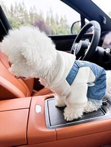 PETCIRCLE 1pc Pet Clothes, European & American Style, Suitable For Small Dogs & Puppies, Cute & Comfortable Overalls - Multicolor - View 4