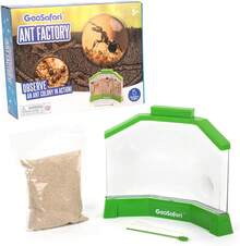 ¡Recomendado Educational Insights GeoSafari - Fábrica de Hormigas con Arena, Reloj Hormigas vivas, Juguete de Aprendizaje Stem, a Partir de 5 años, Multicolor¡Top de Temporada - 1 - Ver 11