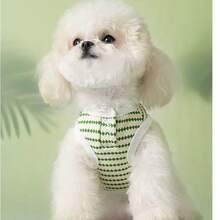 一件波点轻薄透气提花宠物背心，适合犬猫穿着，包括贵宾犬、比熊犬、雪纳瑞犬等，室内外均可穿着。 - 綠色 - 查看 3