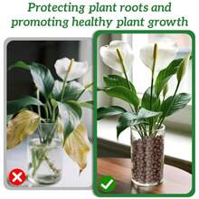 RAINFLOW Leca Clay Pebbles For Plants - 5mm-10mm Clay Balls For Plants Pebbles For Indoor Plant Hydroponic Growing Gardening Orchids Drainage Decoration Aquaponics Growing Terrarium 250g - Trắng - Xem 5