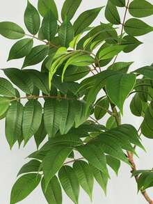 Kmitang 1棵76-140厘米大型人造漆树，仿真南方玉兰，塑料棕榈叶，逼真漆面叶片，适用于家居花园、办公室、阳台装饰 - 綠色 - 查看 8