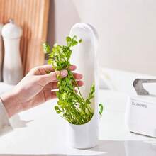 1 pièce Boîte de rangement pour légumes, disponible en petite et grande tailles, fabriquée dans un matériau épais, de bonne qualité, peut être utilisée pour ranger des herbes, pousses de bambou, carottes, etc. En été, peut être placée au réfrigérateur pour une meilleure conservation. En hiver, peut être placée sur le comptoir de la cuisine pour le stockage, un contenant de stockage alimentaire essentiel pour la cuisine de la maison. - Multicolore - Voir 3