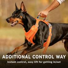 2pcs Large Dog Tactical Chest Harness & Leash Set, Anti-Escape Military Service Leash (With Handle + Webbing Hanging System), Easy Control For Dog Walking, Adjustable Shoulder Strap With Reflective Strips - Multicolor - View 2