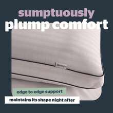 Silentnight 2 Pk Pillows Hotel Collection Box Side Front Bk Sleeper Support - 1PC - View 3