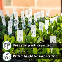 White Plastic Waterproof Plant Labels: Ideal For Nursery Stakes And Pot Markers! - A - View 8
