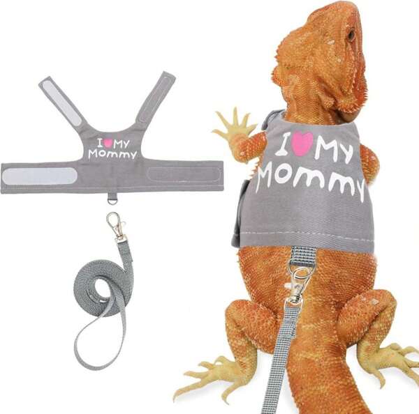 CUSOZWO Bearded Dragon Harness And Leash Set - Cute Lizard Reptile Small Animal Adjustable Harness Clothes With Short Leash For Walking Outdoor