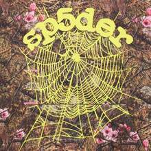 Spder5 Beluga Hip Hop Spider Hoodies Set Y2k Hoodie Tracksuit Pullover Sweatshirt For Women Men Matching Hoodies Street Suit Two-Piece Set All Over Print Animal Cut & Sew Casual Cute Drawstring Conjunto Para Mujer - 迷彩 - 查看 4