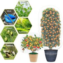 Heavy-Duty Garden Trellis Netting For Climbing Plants Outdoor And Indoor Use Grow Net Suitable For Beans Tomatoes Peas Pumpkin Flowers 6x15ft 1 Pack Plant Support Netting - 1 - View 6