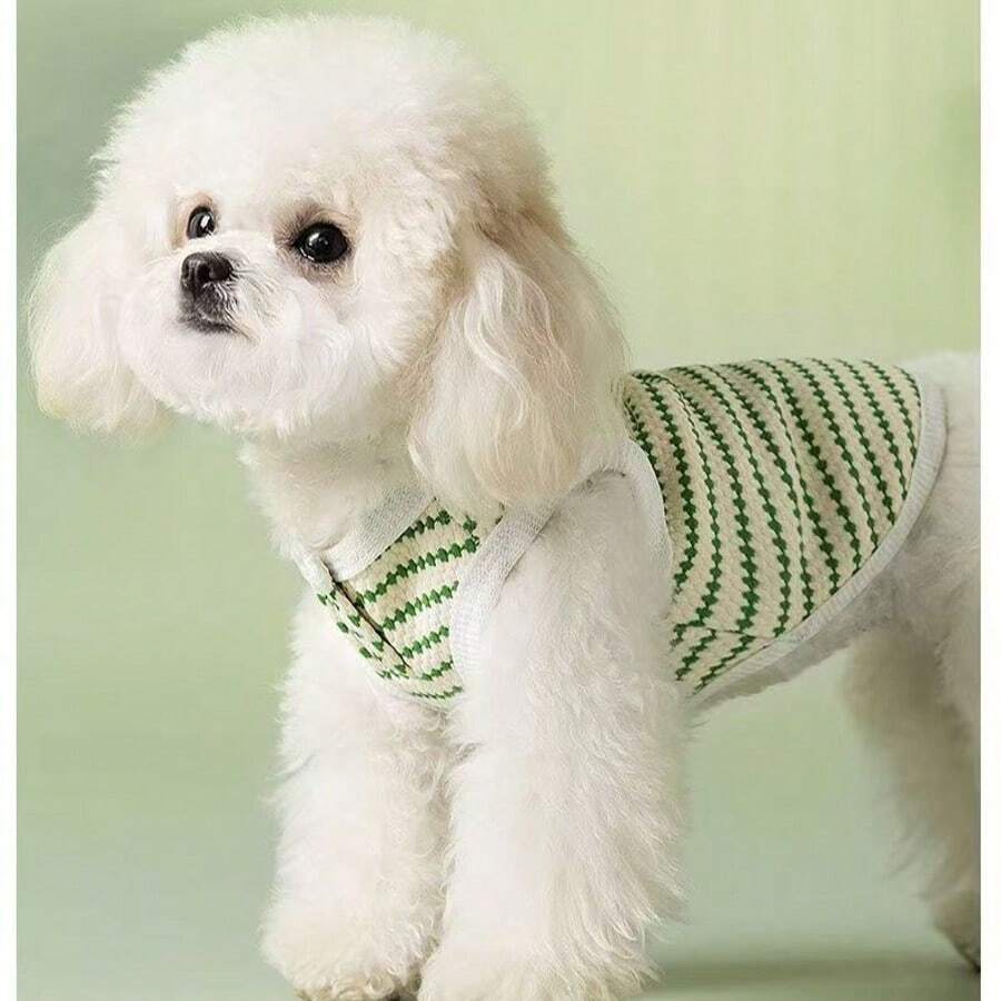 一件波点轻薄透气提花宠物背心，适合犬猫穿着，包括贵宾犬、比熊犬、雪纳瑞犬等，室内外均可穿着。 - 綠色 - 查看 1