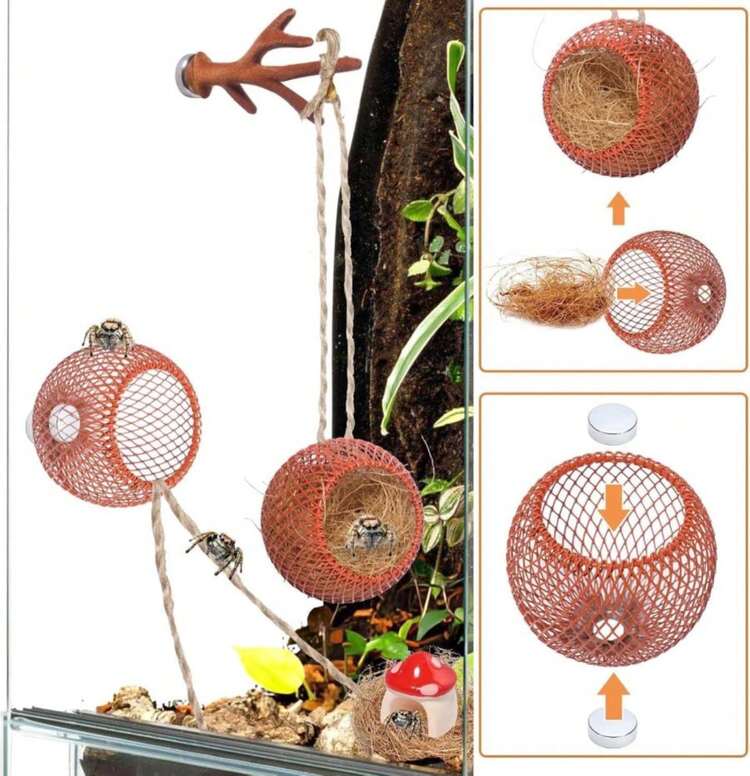 Jumping Spider Hide Enclosure Habitat With Decoration Anlter, Mushroom Decor Pet Spider Hideout Nest Climbing Pet Spider Hideout Enclosure Accessories - ColorA - 查看 5