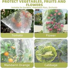 Heavy-Duty Garden Trellis Netting For Climbing Plants Outdoor And Indoor Use Grow Net Suitable For Beans Tomatoes Peas Pumpkin Flowers 6x15ft 1 Pack Plant Support Netting - 1 - View 5