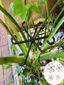 Plant Cages & Supports - Multicolor - View 3