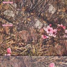 Spder5 Beluga Hip Hop Spider Hoodies Set Y2k Hoodie Tracksuit Pullover Sweatshirt For Women Men Matching Hoodies Street Suit Two-Piece Set All Over Print Animal Cut & Sew Casual Cute Drawstring Conjunto Para Mujer - 迷彩 - 查看 5