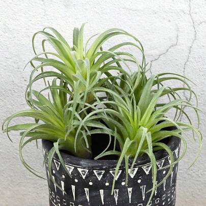 3pcs Artificial Succulent Plants DIY Decor, Suitable For Wedding Party, Yard, Garden, Office, Outdoor, Spring & Summer