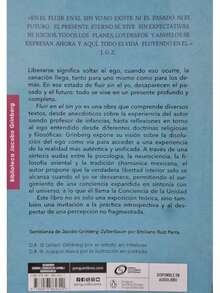 Libro "Fluir en el Sin Yo" (Jacobo Grinberg‑Zylberbaum, disolucion del ego, presencia y flujo, textos variados, conciencia) - Libro único - Ver 3